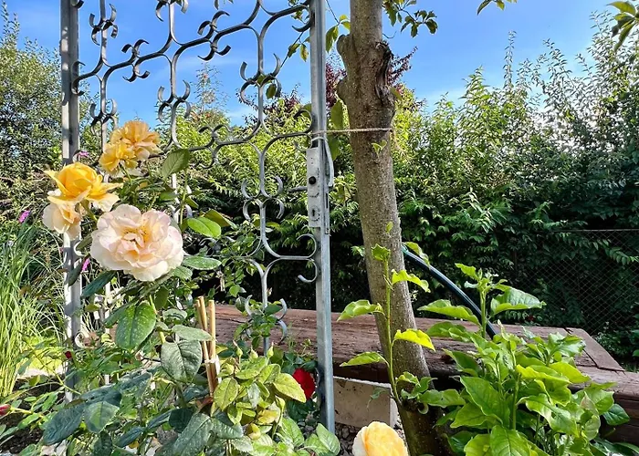 Апартаменты Sunnseitn By Gerrit & Herfried